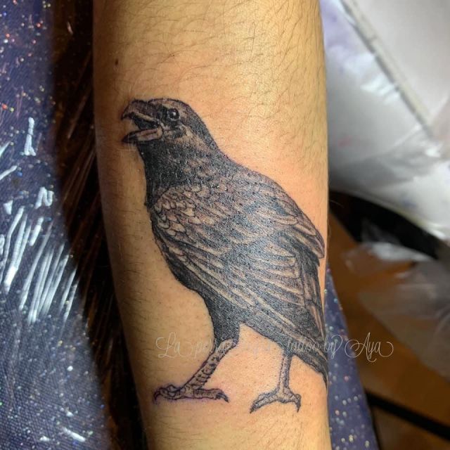 腕,鳥,ブラック＆グレイ,ブラック＆グレータトゥー/刺青デザイン画像