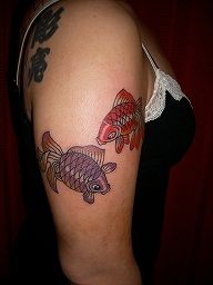 女性,肩,金魚タトゥー/刺青デザイン画像