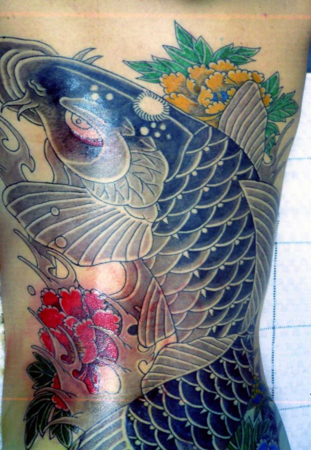 背中,鯉,カラーのタトゥーデザイン｜タトゥーナビ
