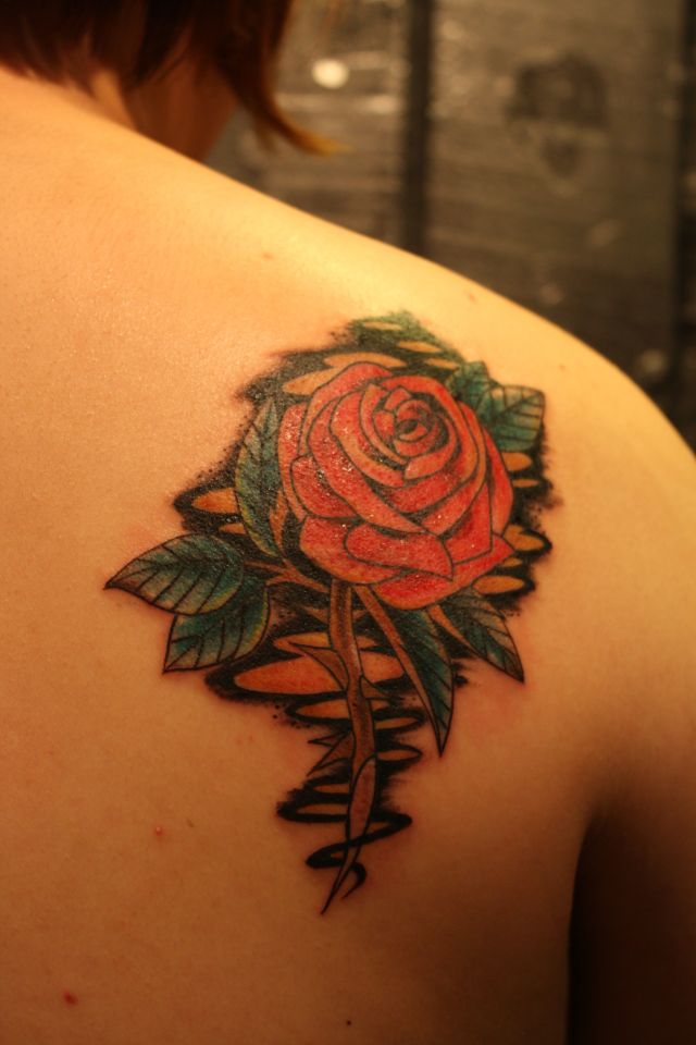 薔薇,背中,カラータトゥー/刺青デザイン画像
