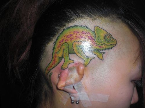 女性,頭,動物タトゥー/刺青デザイン画像