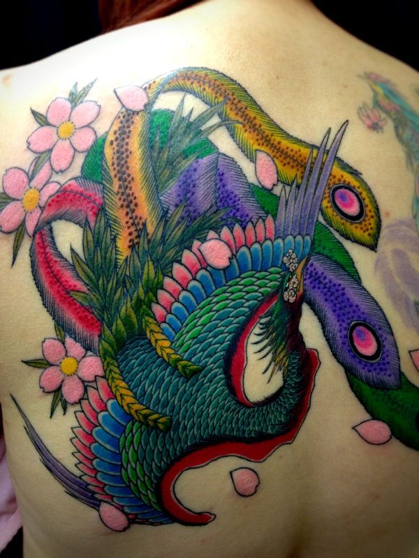 鳳凰,カラー,桜タトゥー/刺青デザイン画像