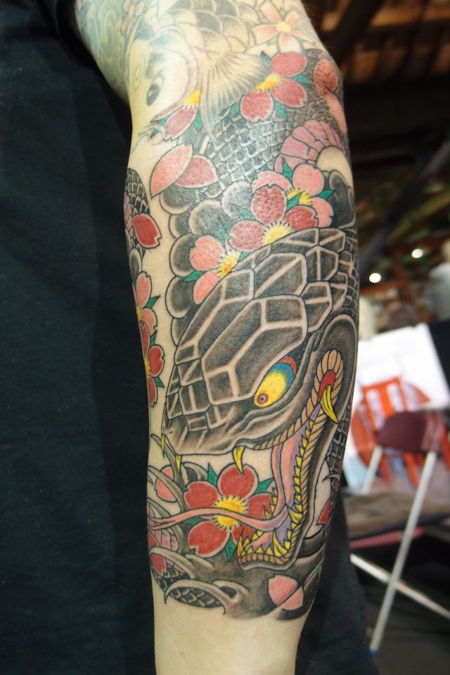 腕,蛇,桜,カラータトゥー/刺青デザイン画像