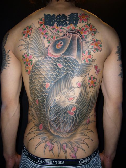背中 抜き 鯉 桜 花のタトゥーデザイン タトゥーナビ