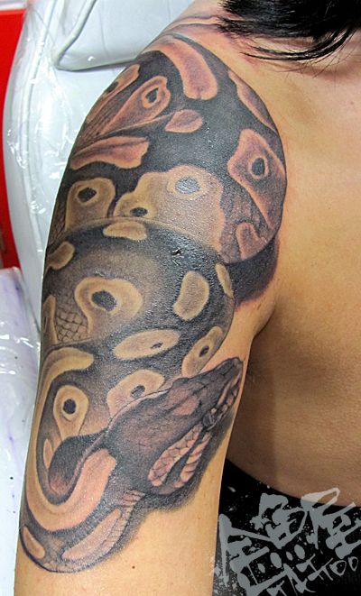 肩,二の腕,大蛇,蛇,ブラック＆グレイ,ブラック＆グレータトゥー/刺青デザイン画像