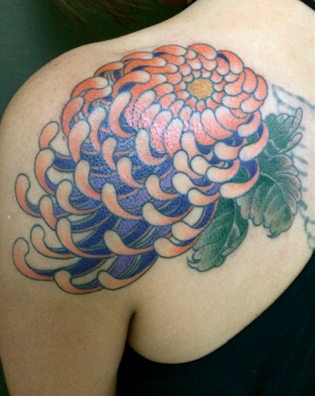 背中,肩,菊,カラー,カラフルタトゥー/刺青デザイン画像