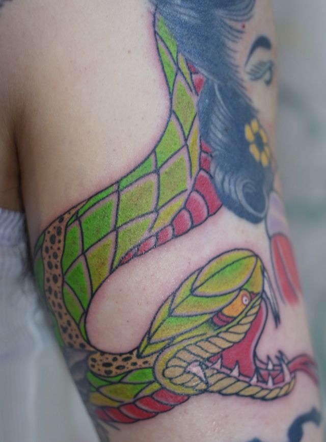 腕,二の腕,蛇,カラータトゥー/刺青デザイン画像