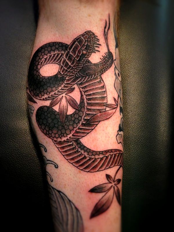 蛇,ブラック＆グレータトゥー/刺青デザイン画像