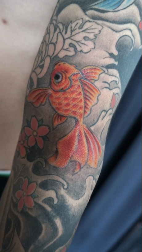 腕,金魚,桜タトゥー/刺青デザイン画像