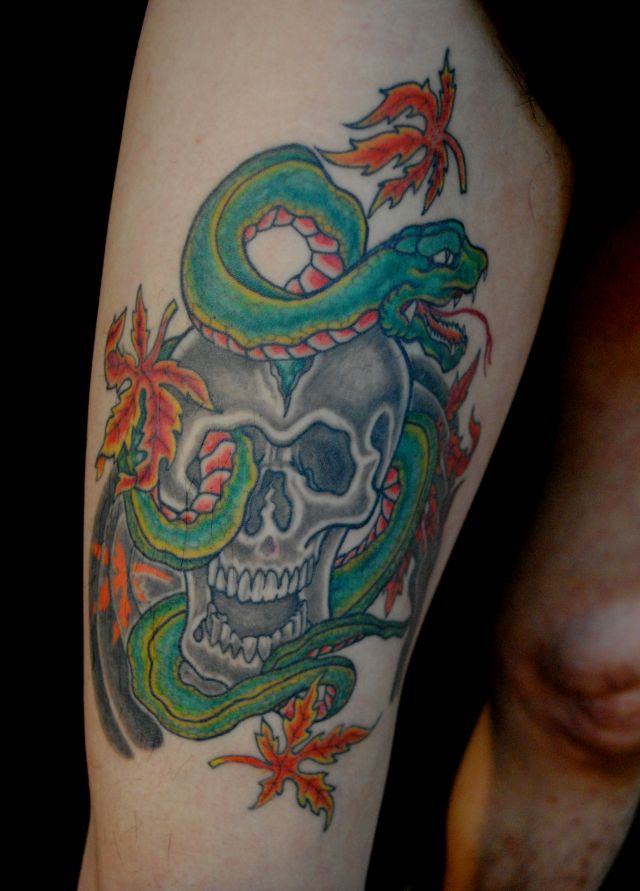 蛇,スカル,カラータトゥー/刺青デザイン画像