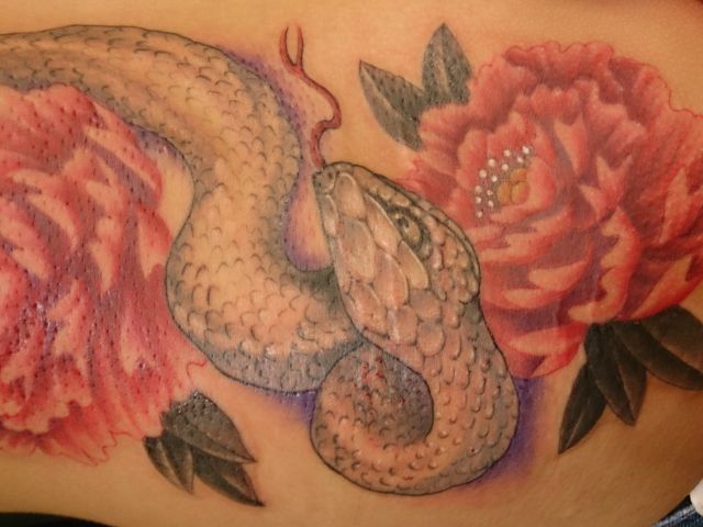 腋,蛇牡丹,カラータトゥー/刺青デザイン画像