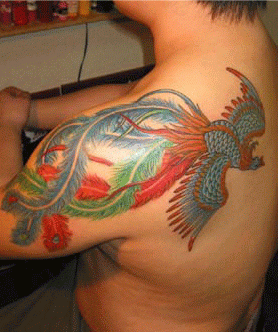 肩,鳳凰タトゥー/刺青デザイン画像