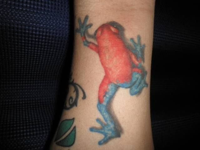 腕,蛙,カラータトゥー/刺青デザイン画像