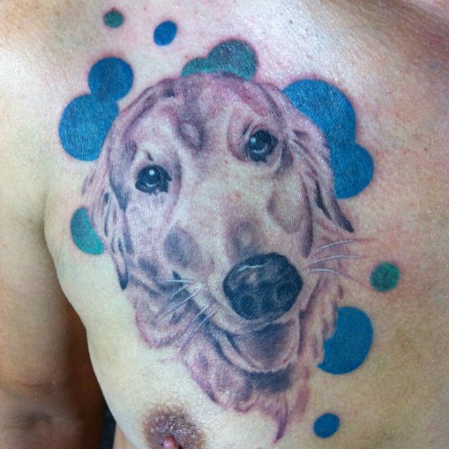 胸,ポートレート,犬タトゥー/刺青デザイン画像
