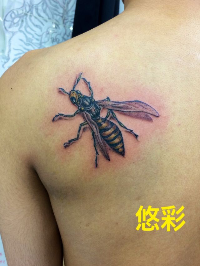 背中,肩,昆虫,カラータトゥー/刺青デザイン画像