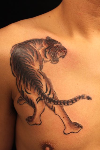 胸,虎,ブラック＆グレー,動物タトゥー/刺青デザイン画像