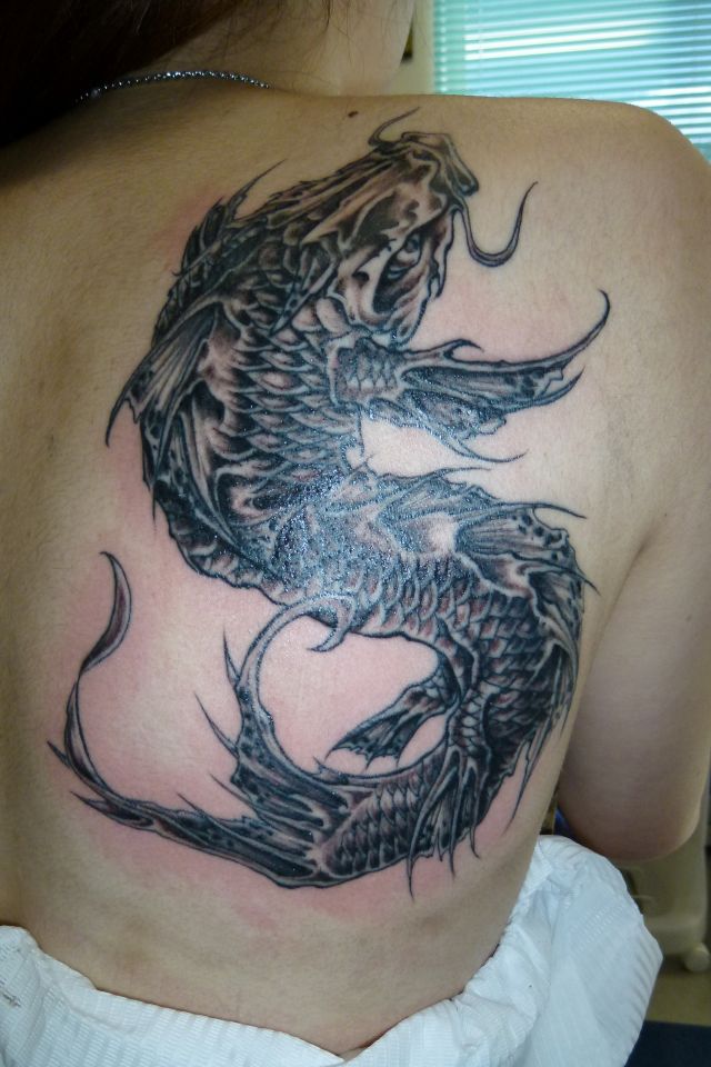 肩,背中,ブラック＆グレー,鯉タトゥー/刺青デザイン画像