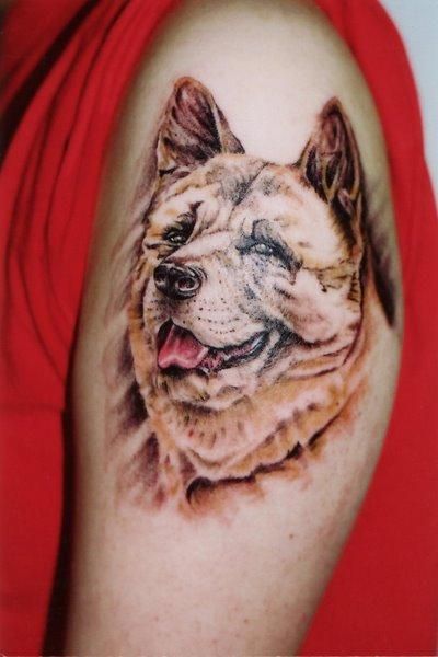 ポートレート,犬,腕タトゥー/刺青デザイン画像