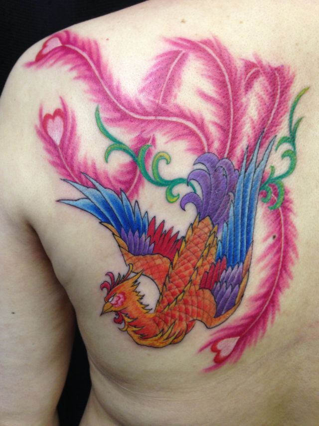 背中,肩,女性,鳳凰,フェニックス,カラータトゥー/刺青デザイン画像