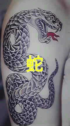 腕,蛇,ブラック＆グレータトゥー/刺青デザイン画像