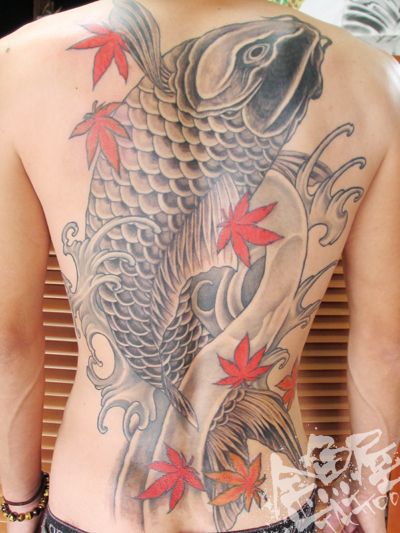 背中 鯉 紅葉 のぼり鯉 ブラック グレイ ブラック グレーのタトゥーデザイン タトゥーナビ