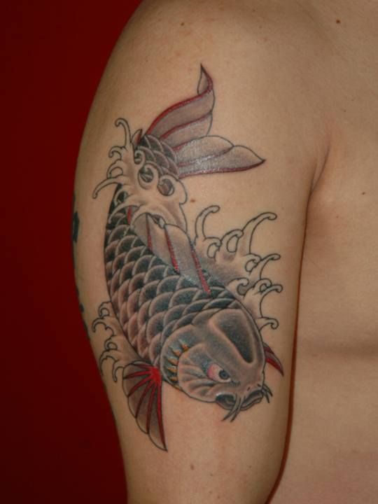 腕,鯉,カラータトゥー/刺青デザイン画像