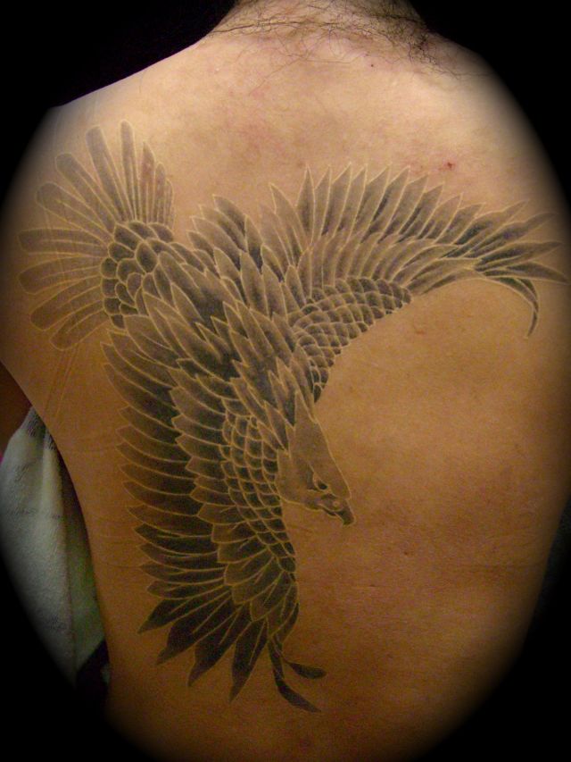 背中,鷹,ブラック＆グレー,鳥,動物タトゥー/刺青デザイン画像