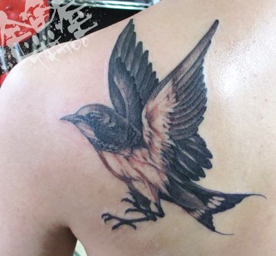 背中,肩,ツバメ,ブラック＆グレイタトゥー/刺青デザイン画像