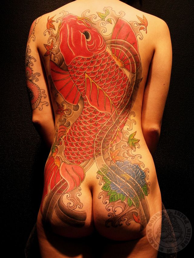 背中,女性,牡丹,のぼり鯉,抜き彫り,カラータトゥー/刺青デザイン画像