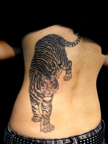 虎,ブラック＆グレー,背中タトゥー/刺青デザイン画像