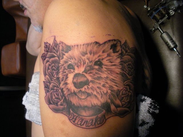 肩,動物,薔薇,文字,ブラック＆グレー,花タトゥー/刺青デザイン画像