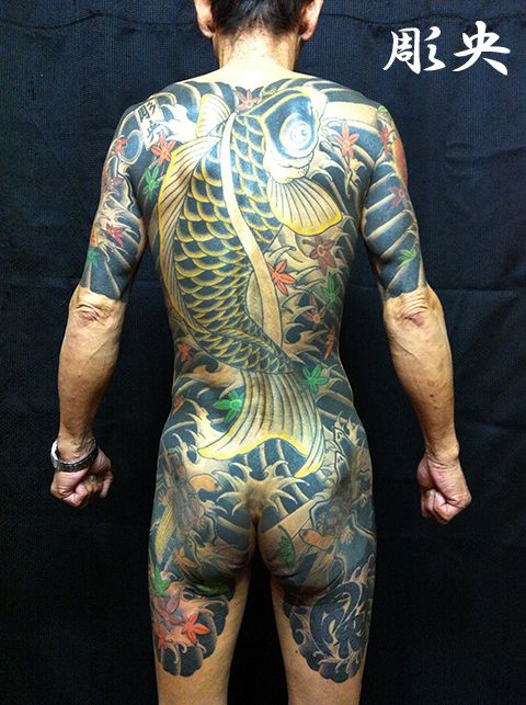 背中,のぼり鯉,カラータトゥー/刺青デザイン画像