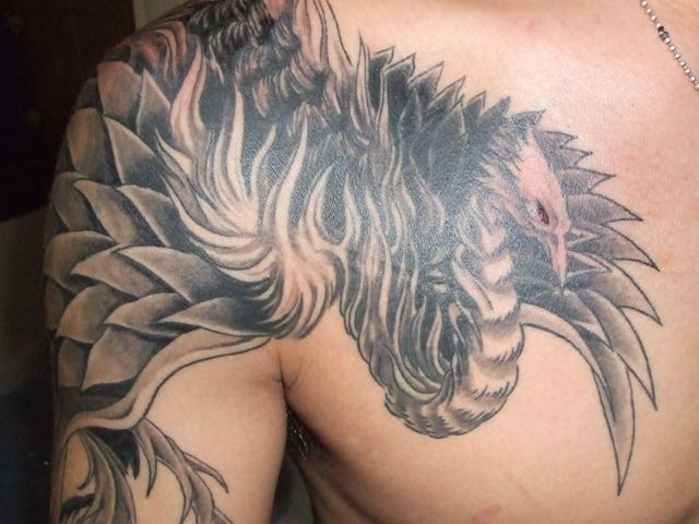 肩,胸,鳳凰,ブラック＆グレータトゥー/刺青デザイン画像