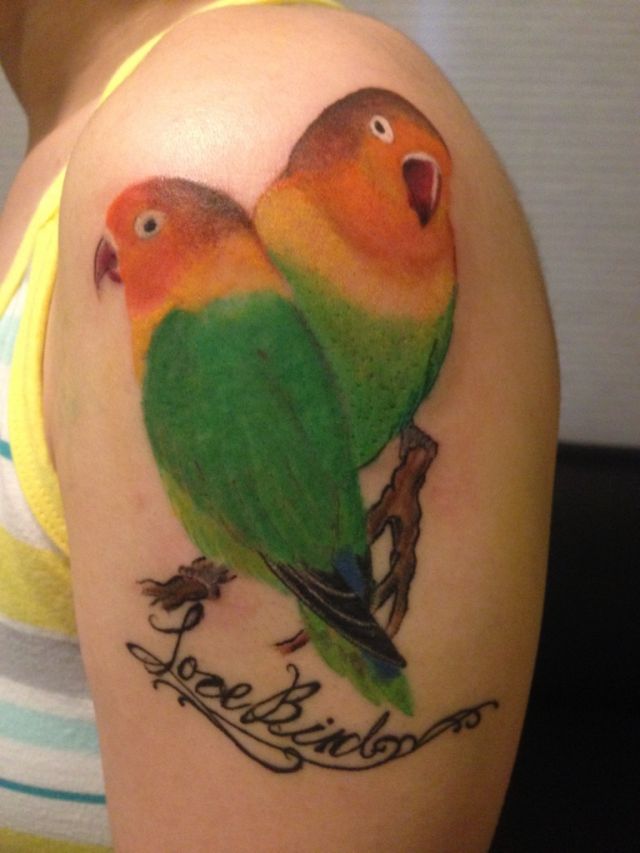 肩,鳥,カラータトゥー/刺青デザイン画像