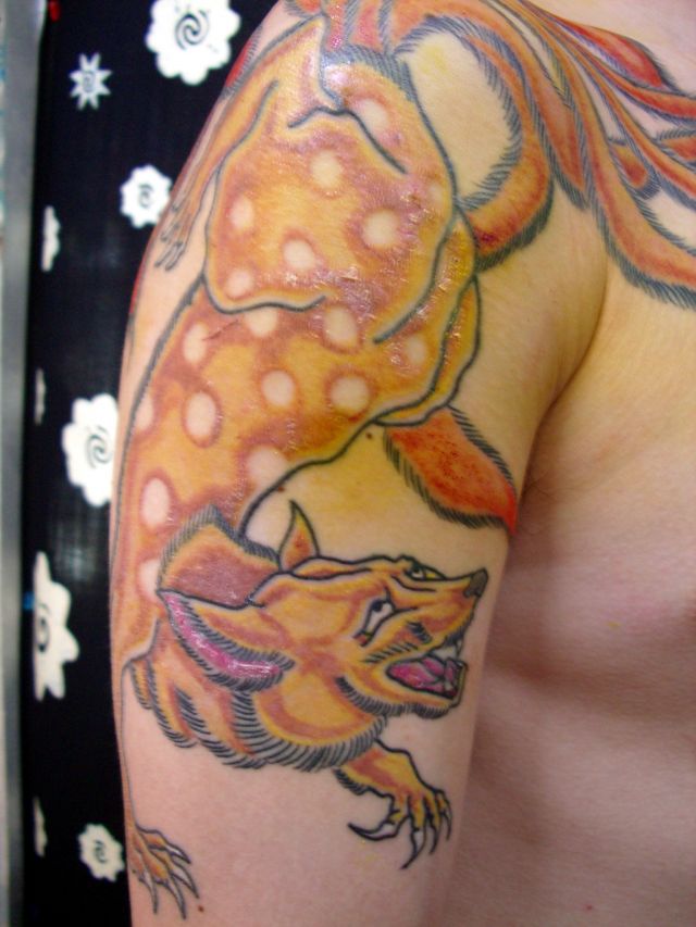 狐,腕,カラータトゥー/刺青デザイン画像
