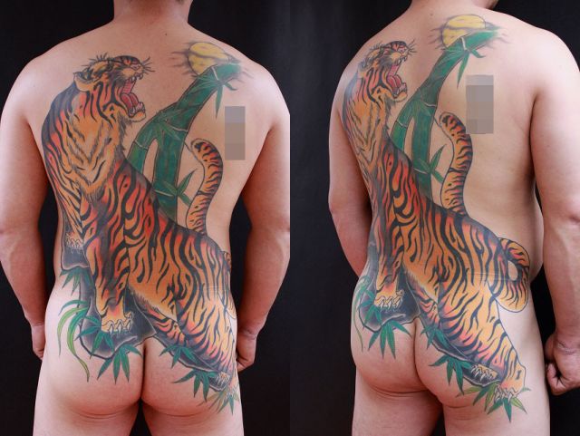 背中,虎,カラータトゥー/刺青デザイン画像