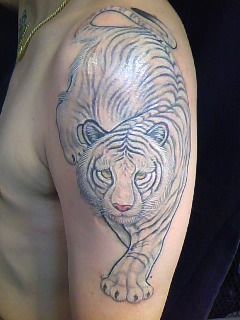 肩,虎,動物タトゥー/刺青デザイン画像