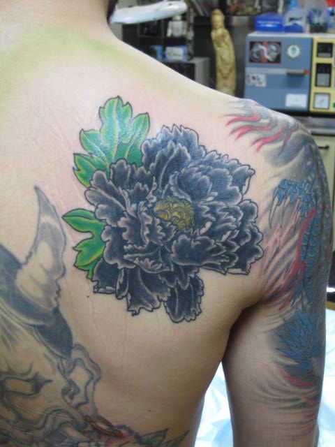 背中,カラー,牡丹タトゥー/刺青デザイン画像