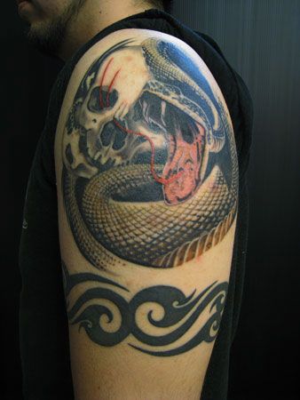 肩,スカル,蛇,トライバルタトゥー/刺青デザイン画像