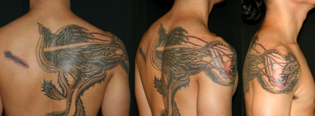 背中,肩,鳳凰,ブラック＆グレイタトゥー/刺青デザイン画像
