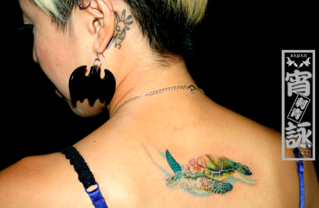 背中,耳,亀,ポートレート,カラータトゥー/刺青デザイン画像