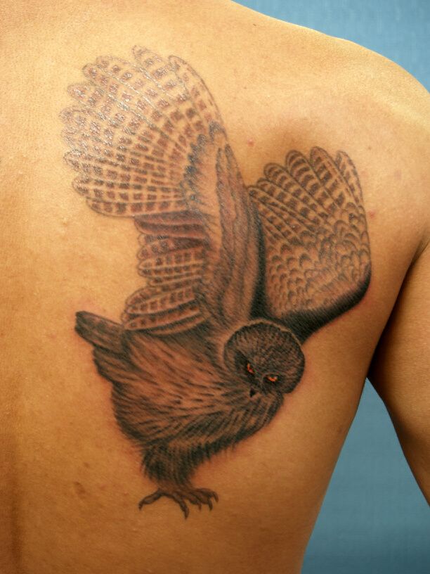 フクロウ,背中,ブラック＆グレー,動物タトゥー/刺青デザイン画像