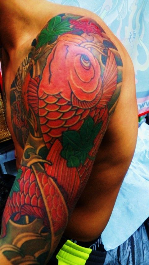 鯉,五分袖,太鼓,紅葉タトゥー/刺青デザイン画像