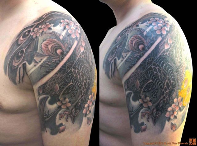 肩,鳳凰,桜,花タトゥー/刺青デザイン画像