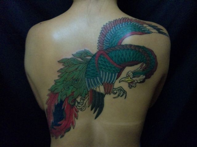 女性,背中,抜き,鳳凰タトゥー/刺青デザイン画像
