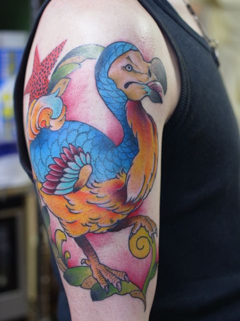 腕,手,二の腕,鳥,カラー,カラフルタトゥー/刺青デザイン画像