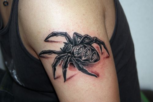 蜘蛛,腕,ブラック＆グレータトゥー/刺青デザイン画像
