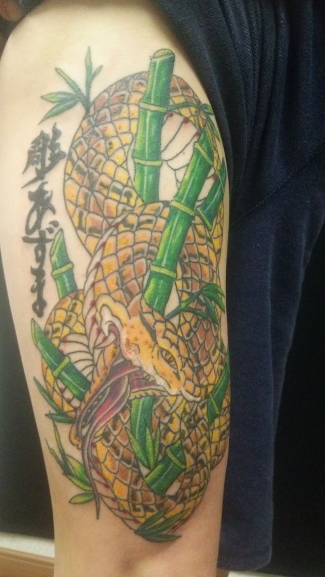 蛇,竹,カラータトゥー/刺青デザイン画像
