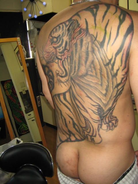 背中,カラー,虎タトゥー/刺青デザイン画像