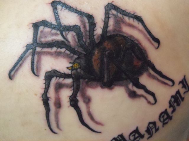 蜘蛛,ブラック＆グレー,スパイダータトゥー/刺青デザイン画像